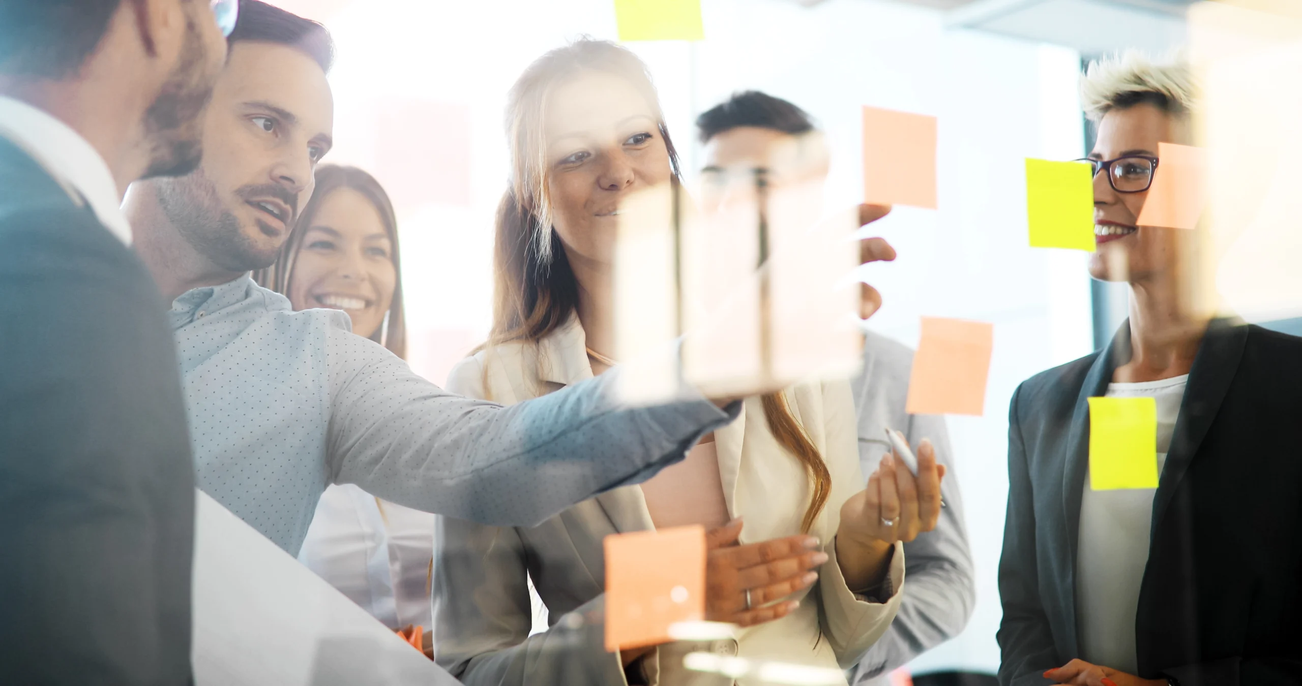 steuerberater projektmanagement level c